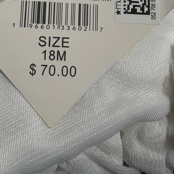 NWT Blueberi Boulevard Baby Girl Floral Appliqué Tulle Overlay Fit & Flare Dress - Picture 7 of 7